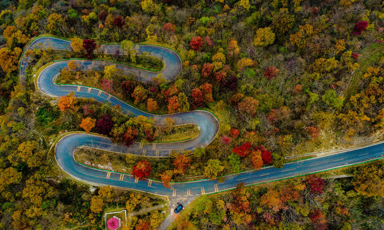 劉安國 202111 (9)_副本.jpg