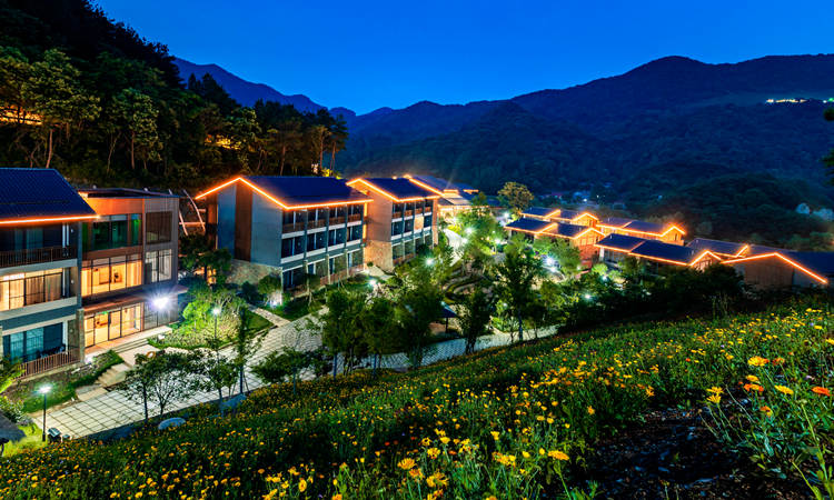 自在谷酒店夜景 (1)_副本.jpg