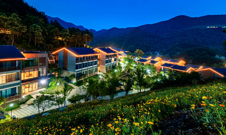 自在谷酒店夜景 (1)_副本.jpg